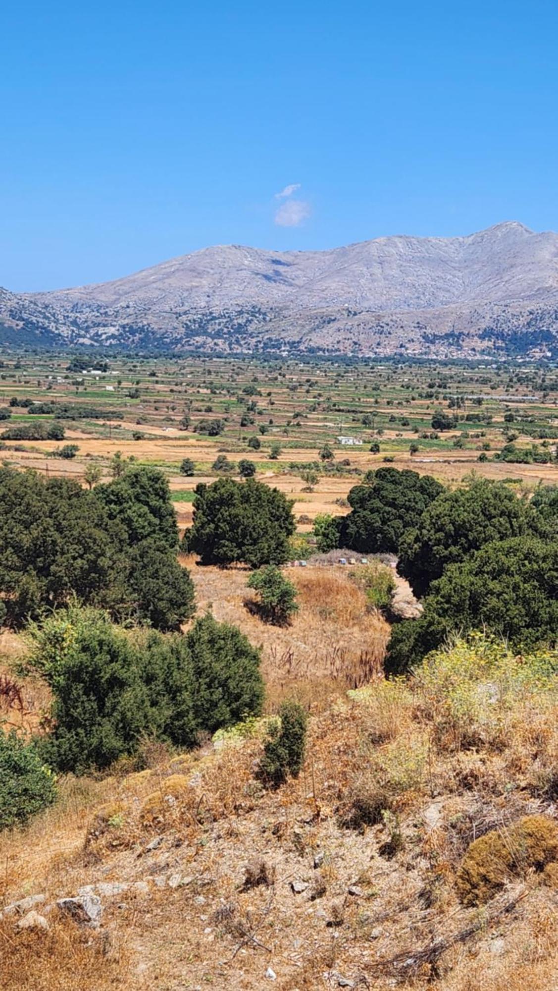 Dionysus Lasithi Plateau Magoulás Esterno foto